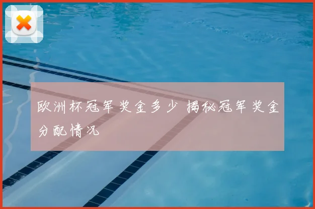 欧洲杯冠军奖金多少 揭秘冠军奖金分配情况