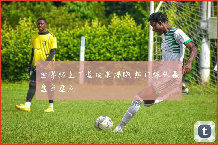 世界杯上下盘结果揭晓 热门球队赢盘率盘点