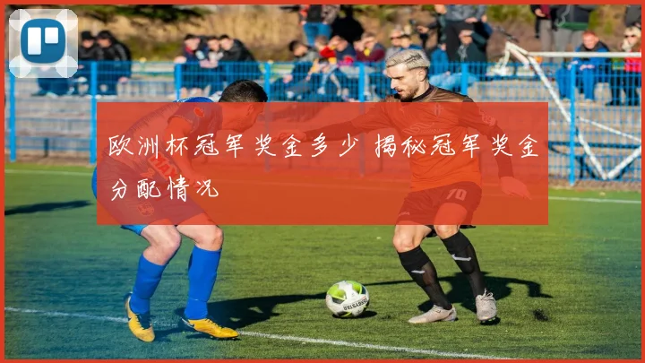 欧洲杯冠军奖金多少 揭秘冠军奖金分配情况