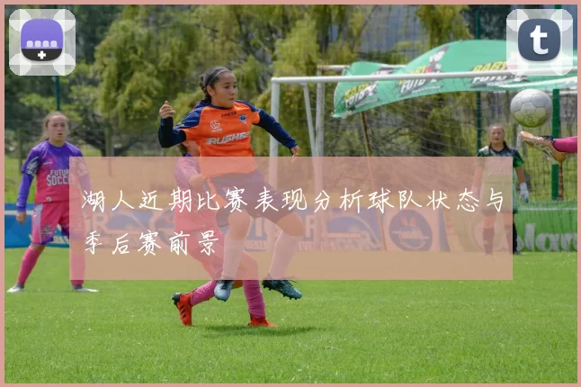 湖人近期比赛表现分析球队状态与季后赛前景